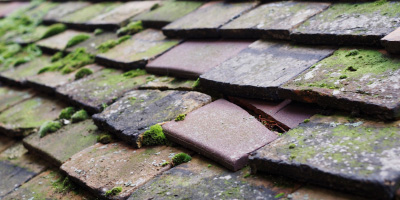 Llanfair Kilgeddin roof repair costs